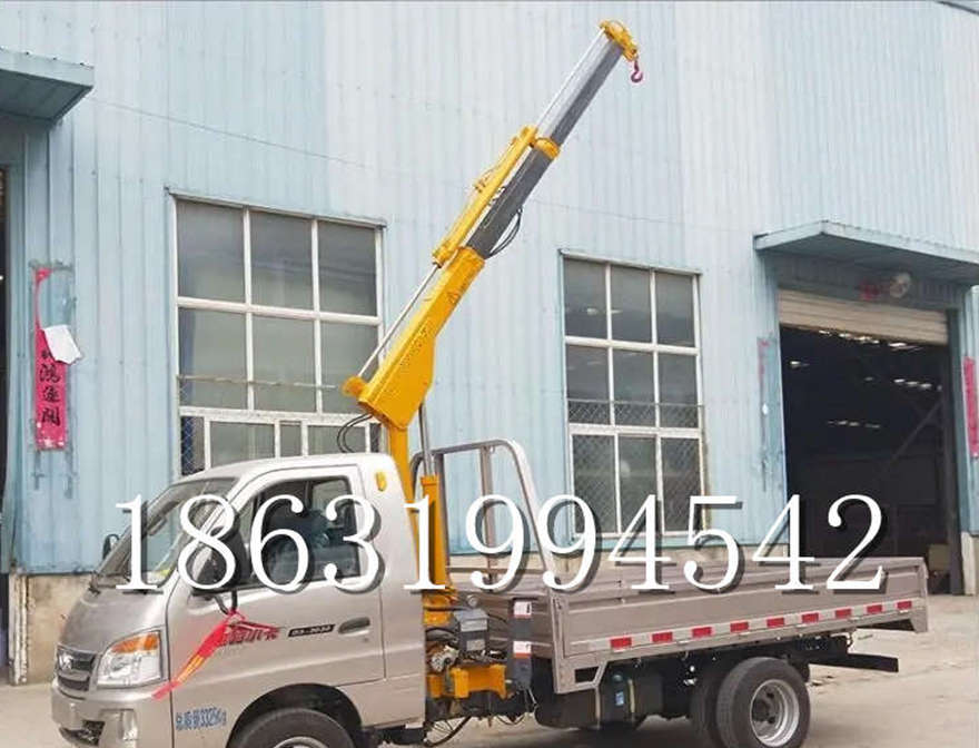 隆林各族自治县车载吊机起重机小型遥控升降机车载吊机3吨室内吊机隆林各族自治县附近